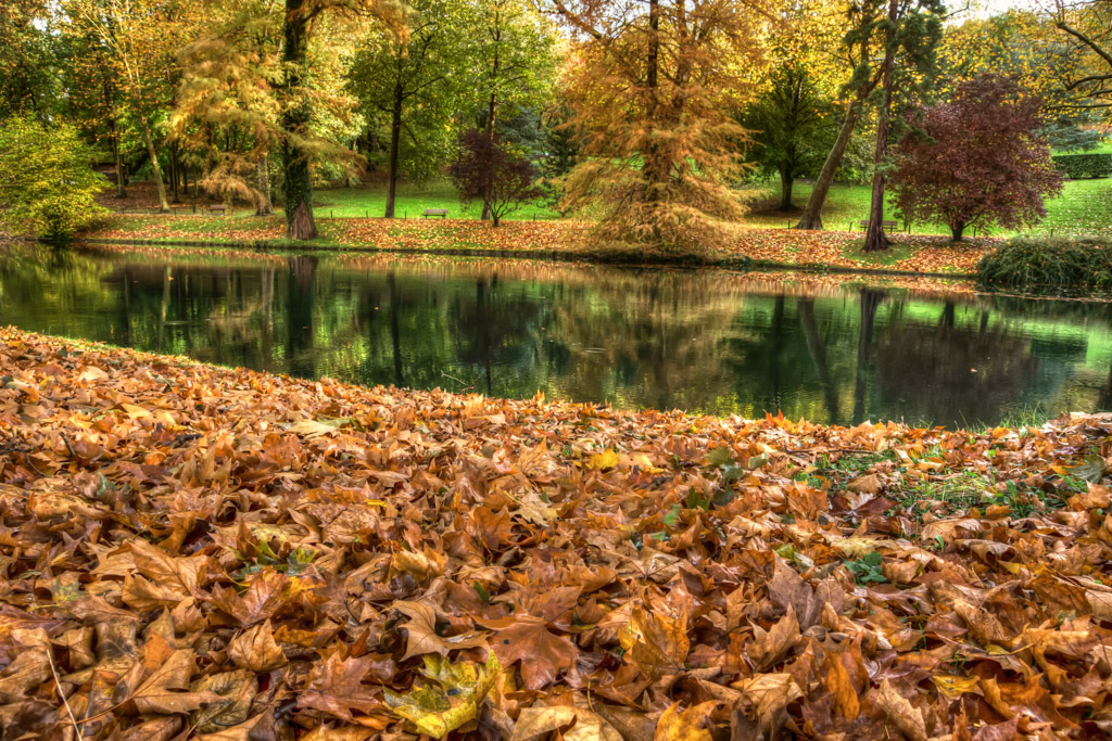 Le parc Meissonier, Poissy